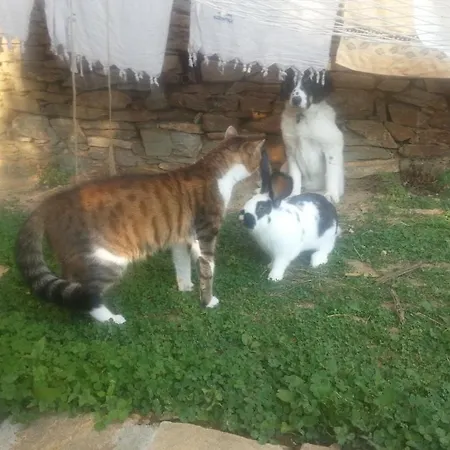 منزل ريفي Vesko & Suzi *